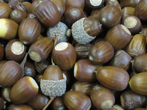 Is acorns worth it. Things To Know About Is acorns worth it. 